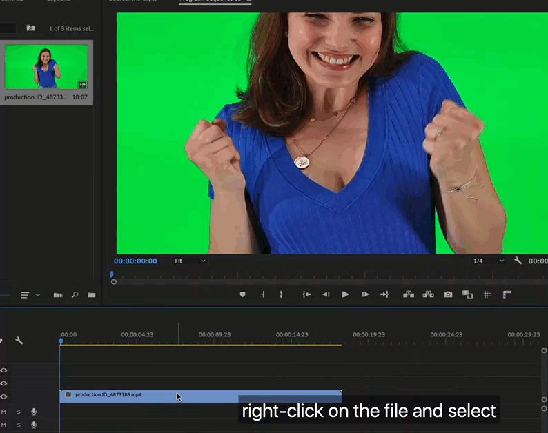 How to Create a GIF In Premiere Pro Easily 